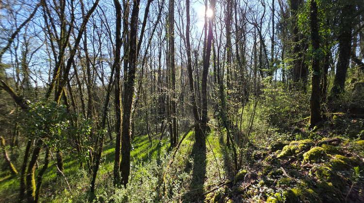 Ma-Cabane - Vente Terrain ANGLES-SUR-L'ANGLIN, 7010 m²