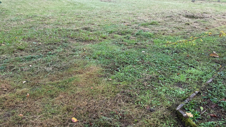 Ma-Cabane - Vente Terrain Angrie, 600 m²