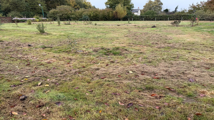 Ma-Cabane - Vente Terrain Angrie, 600 m²