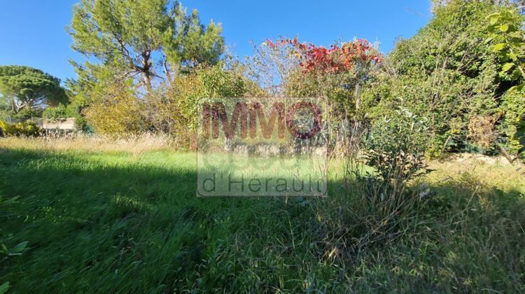 Ma-Cabane - Vente Terrain ANIANE, 478 m²