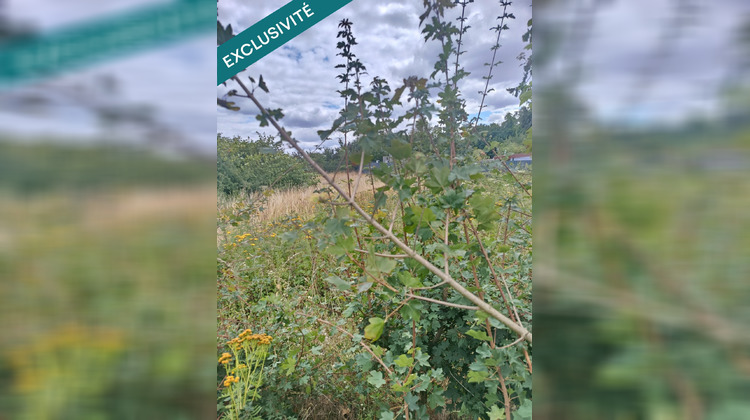 Ma-Cabane - Vente Terrain Aniche, 450 m²