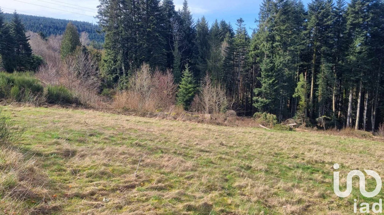 Ma-Cabane - Vente Terrain Anould, 3195 m²