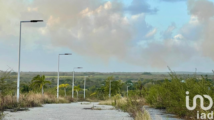 Ma-Cabane - Vente Terrain Anse-Bertrand, 500 m²