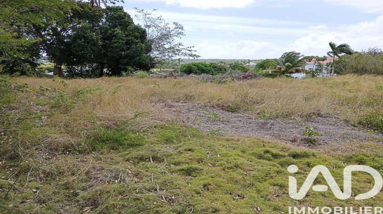 Ma-Cabane - Vente Terrain Anse-Bertrand, 903 m²