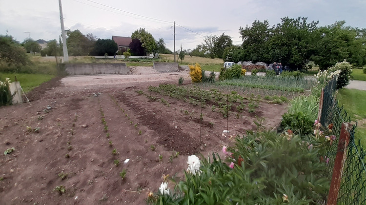 Ma-Cabane - Vente Terrain Anthelupt, 640 m²