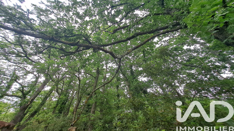 Ma-Cabane - Vente Terrain Antugnac, 9595 m²
