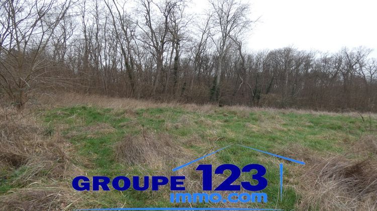 Ma-Cabane - Vente Terrain Appoigny, 2247 m²