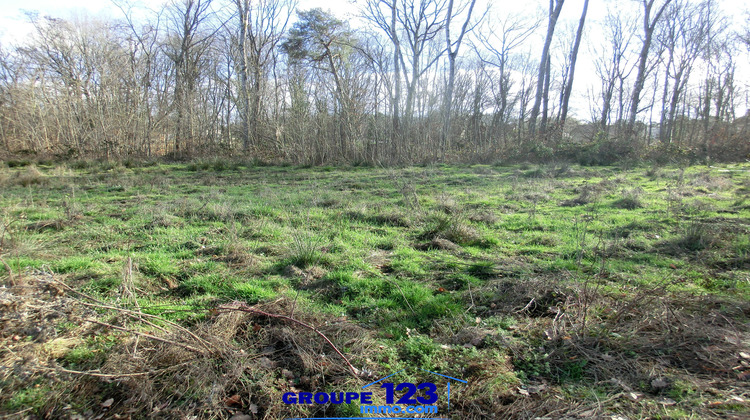 Ma-Cabane - Vente Terrain Appoigny, 599 m²