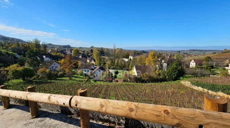 Ma-Cabane - Vente Terrain ARBOIS, 3014 m²