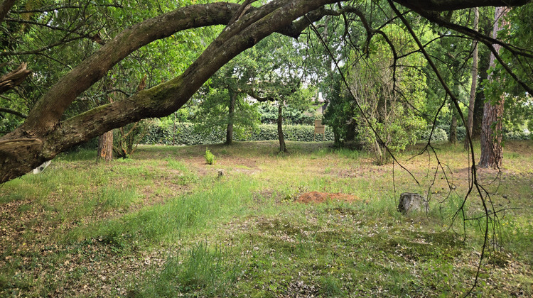 Ma-Cabane - Vente Terrain Arcachon, 1050 m²