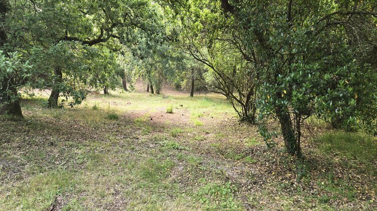 Ma-Cabane - Vente Terrain Arcachon, 1050 m²