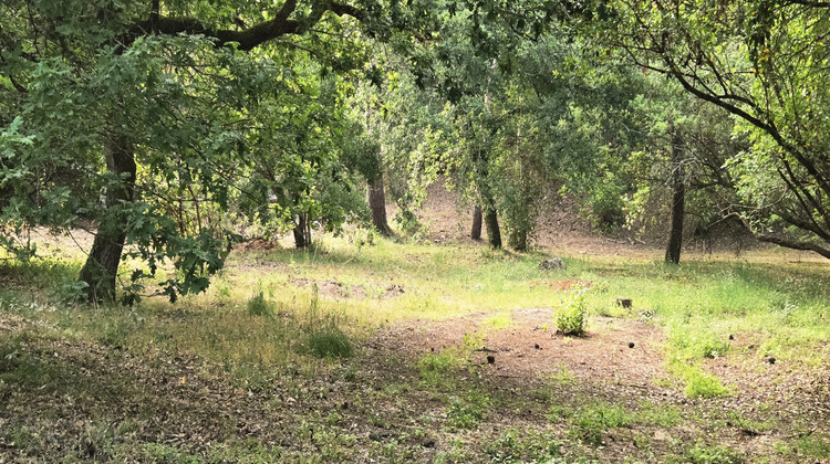 Ma-Cabane - Vente Terrain Arcachon, 1050 m²