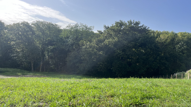 Ma-Cabane - Vente Terrain Arcangues, 1138 m²