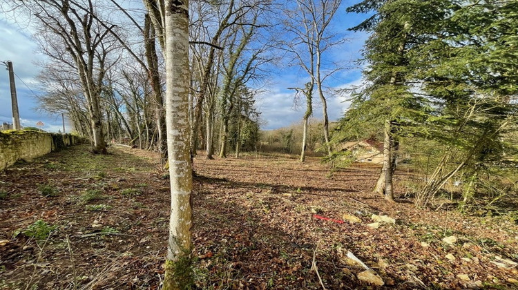 Ma-Cabane - Vente Terrain ARCEAU, 2526 m²