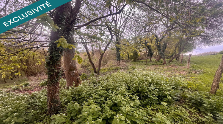 Ma-Cabane - Vente Terrain Arcy-Sainte-Restitue, 5500 m²