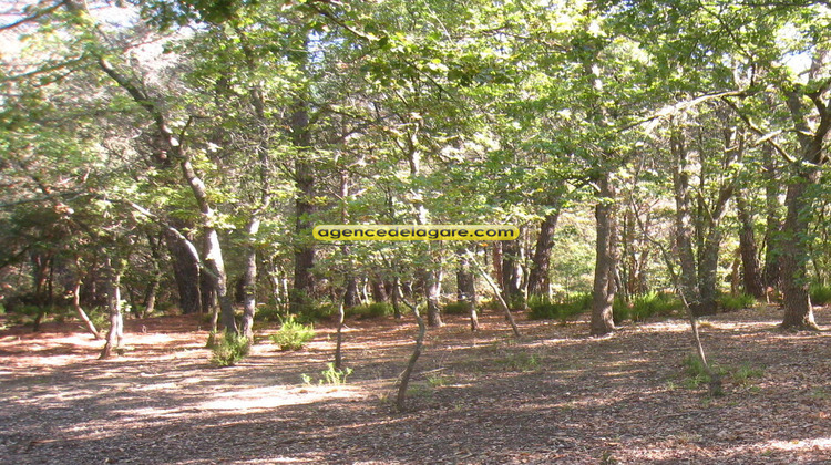 Ma-Cabane - Vente Terrain Argelès-sur-Mer, 5000 m²