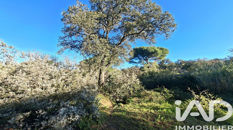 Ma-Cabane - Vente Terrain Argelès-sur-Mer, 2880 m²