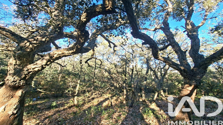 Ma-Cabane - Vente Terrain Argelès-sur-Mer, 2880 m²