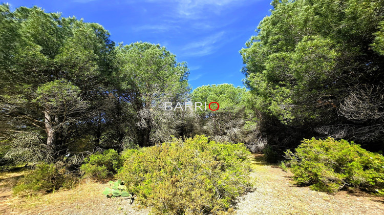 Ma-Cabane - Vente Terrain Argelès-sur-Mer, 2645 m²