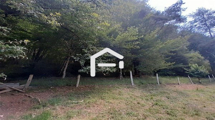 Ma-Cabane - Vente Terrain ARGENTAT, 7000 m²