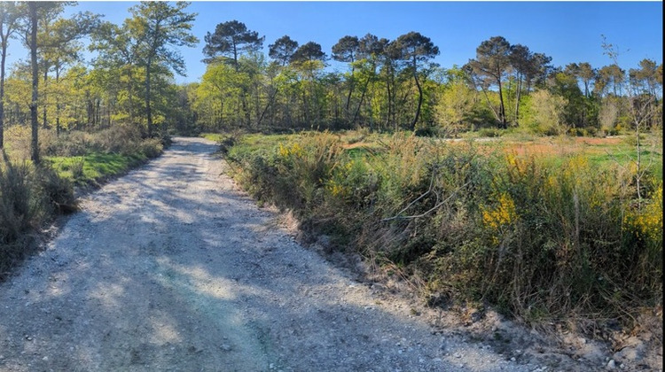 Ma-Cabane - Vente Terrain ARGENTON, 35648 m²