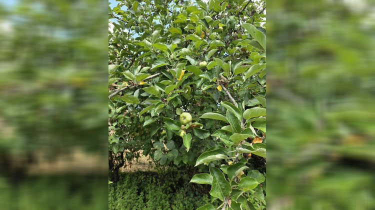 Ma-Cabane - Vente Terrain ARGENTON SUR CREUSE, 919 m²