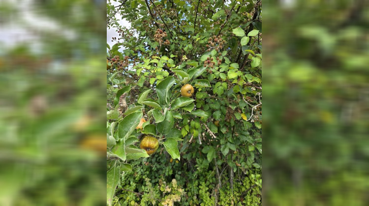 Ma-Cabane - Vente Terrain ARGENTON SUR CREUSE, 919 m²