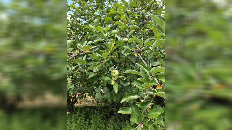 Ma-Cabane - Vente Terrain ARGENTON SUR CREUSE, 919 m²