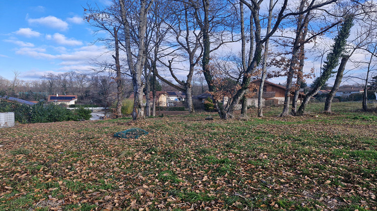 Ma-Cabane - Vente Terrain ARMOY, 501 m²