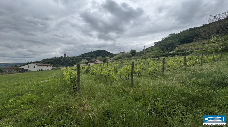 Ma-Cabane - Vente Terrain Arras-sur-Rhône, 1130 m²