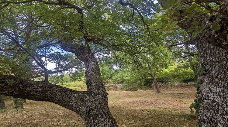 Ma-Cabane - Vente Terrain ARTIGNOSC-SUR-VERDON, 1342 m²