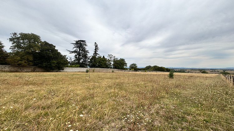 Ma-Cabane - Vente Terrain ARTONNE, 7380 m²