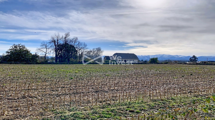 Ma-Cabane - Vente Terrain Assat, 800 m²