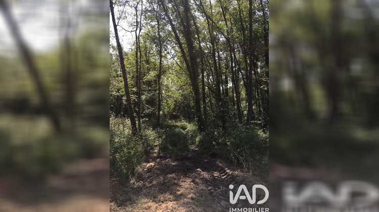 Ma-Cabane - Vente Terrain Assérac, 5050 m²