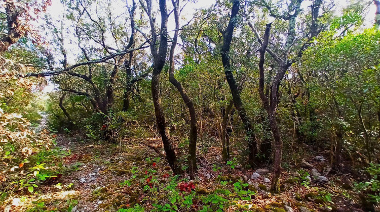 Ma-Cabane - Vente Terrain ASSIGNAN, 0 m²