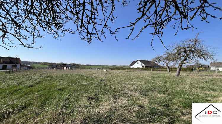 Ma-Cabane - Vente Terrain Asswiller, 2300 m²