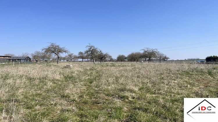 Ma-Cabane - Vente Terrain Asswiller, 2300 m²