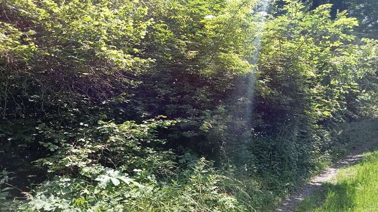 Ma-Cabane - Vente Terrain ATTICHY, 2132 m²