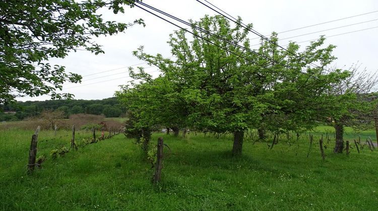 Ma-Cabane - Vente Terrain AUBAS, 10164 m²