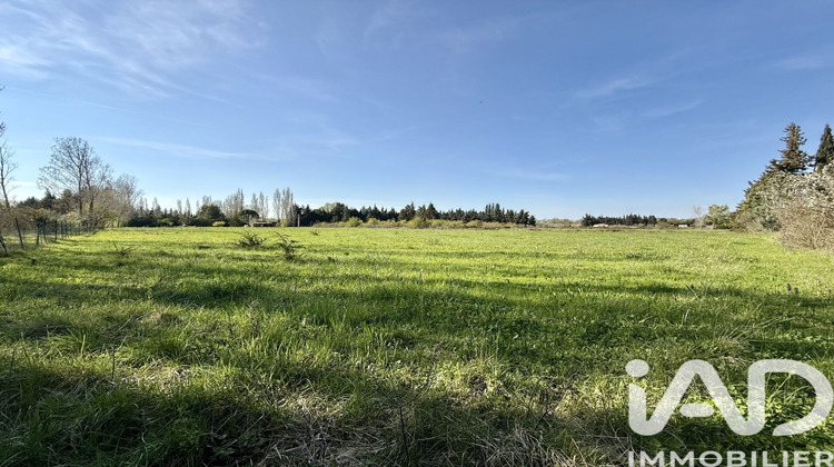 Ma-Cabane - Vente Terrain Aubignan, 9900 m²