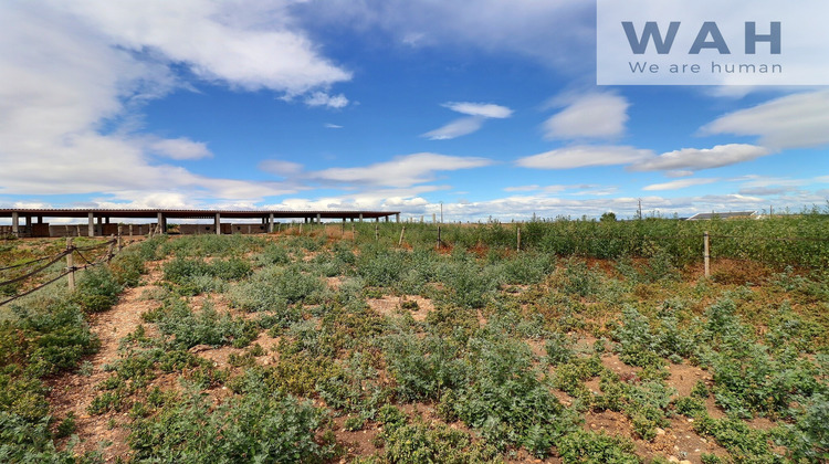 Ma-Cabane - Vente Terrain Aubord, 2474 m²