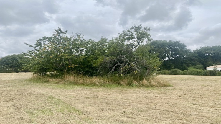 Ma-Cabane - Vente Terrain Auch, 3981 m²