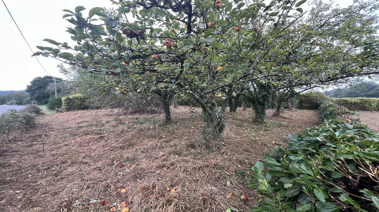 Ma-Cabane - Vente Terrain Augan, 537 m²