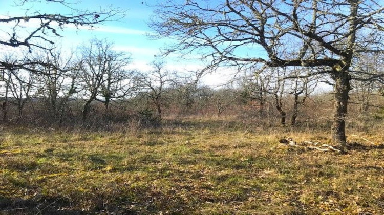Ma-Cabane - Vente Terrain AUJOLS, 0 m²