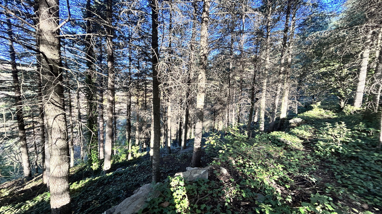 Ma-Cabane - Vente Terrain Aulas, 4050 m²