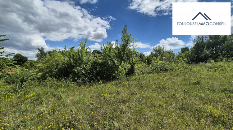 Ma-Cabane - Vente Terrain Aureville, 2500 m²