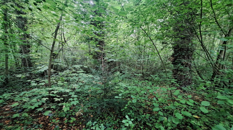 Ma-Cabane - Vente Terrain AUXI LE CHATEAU, 5904 m²