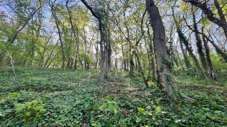 Ma-Cabane - Vente Terrain AVAILLES THOUARSAIS, 1500 m²