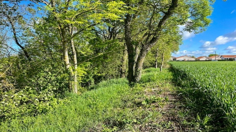 Ma-Cabane - Vente Terrain AVAILLES THOUARSAIS, 1500 m²