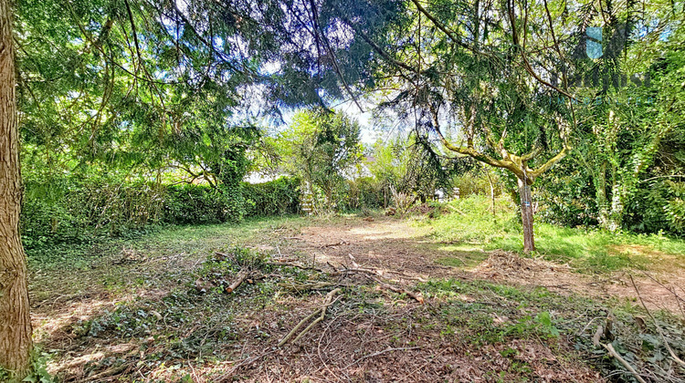 Ma-Cabane - Vente Terrain AVON, 502 m²